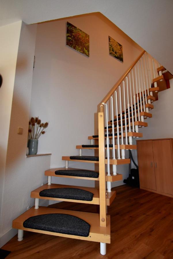 Reetdachhaus Holunder 2 Villa Puddemin Buitenkant foto